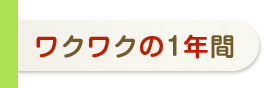 ワクワクの1年間